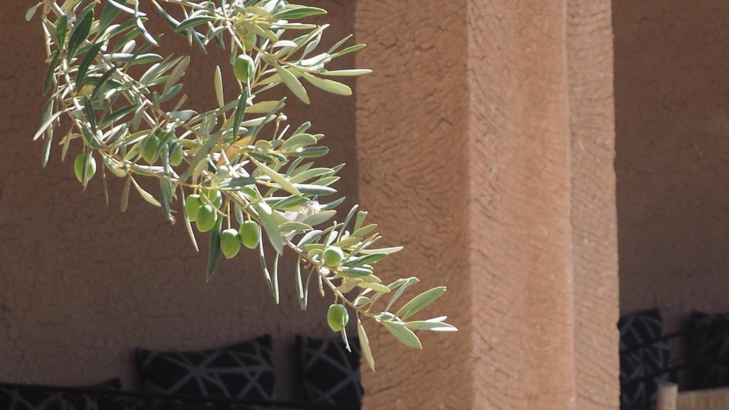 فندق Dar Tifrouine لالا تاكركوست المظهر الخارجي الصورة